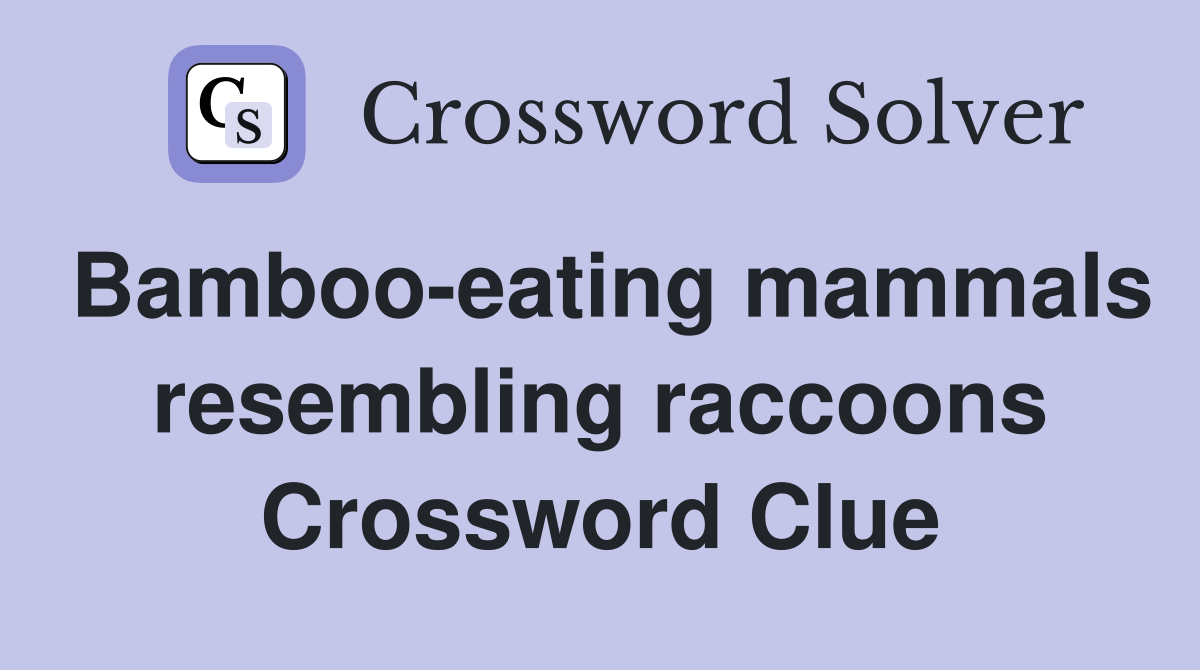 Bamboo-eating mammals resembling raccoons Crossword Clue
