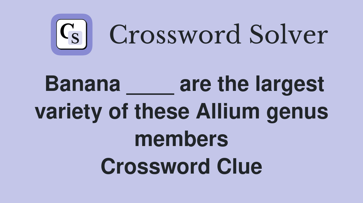 Banana ____ are the largest variety of these Allium genus members Crossword Clue