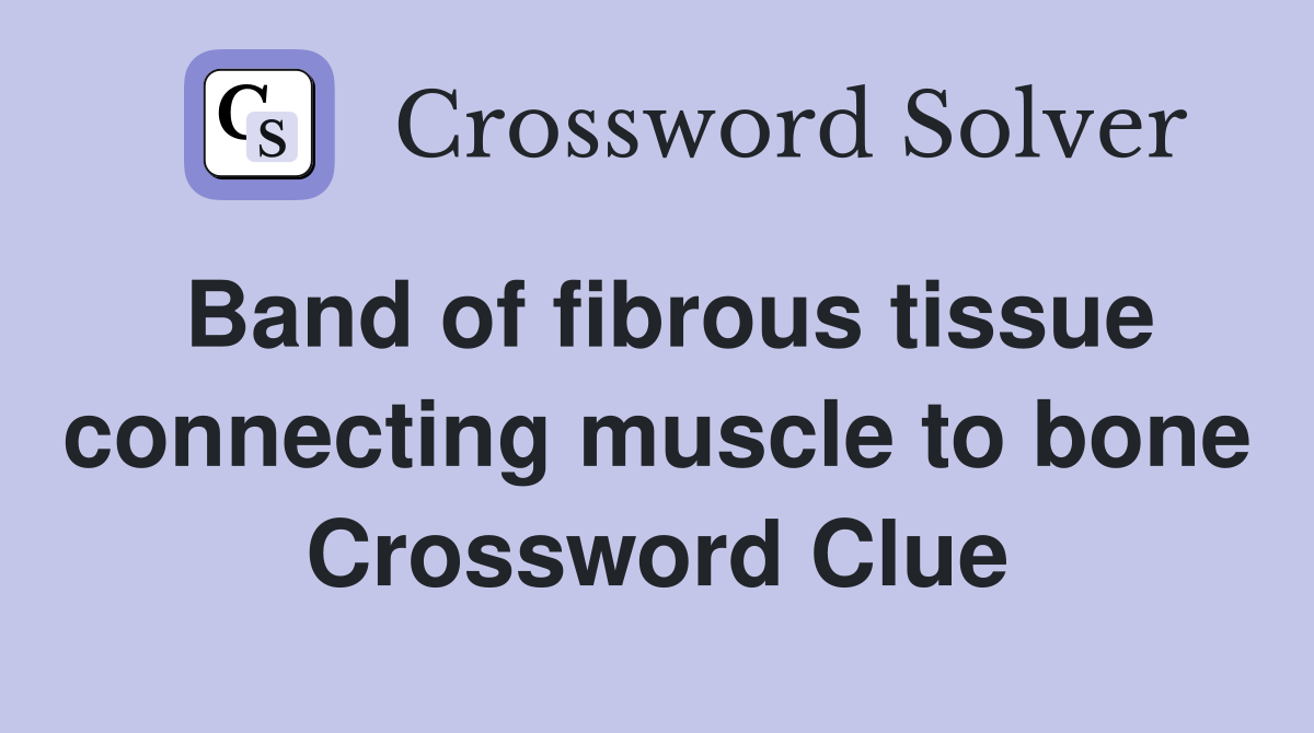Band of fibrous tissue connecting muscle to bone Crossword Clue