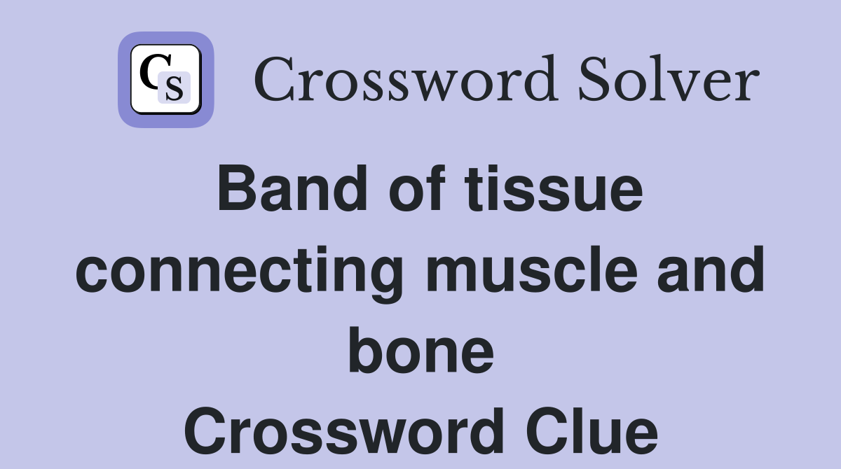 Band of tissue connecting muscle and bone - Crossword Clue Answers ...