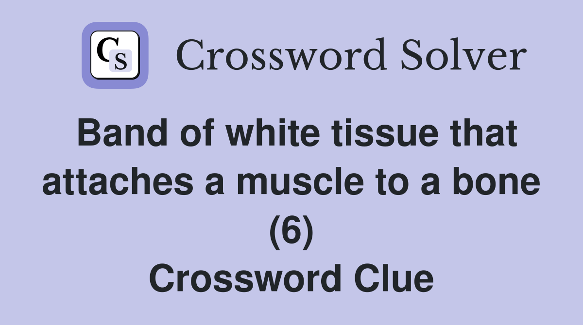 Band of white tissue that attaches a muscle to a bone (6) Crossword Clue