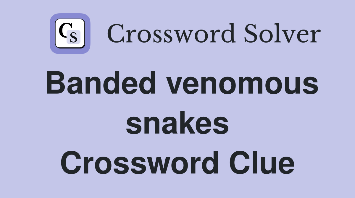 Banded venomous snakes Crossword Clue