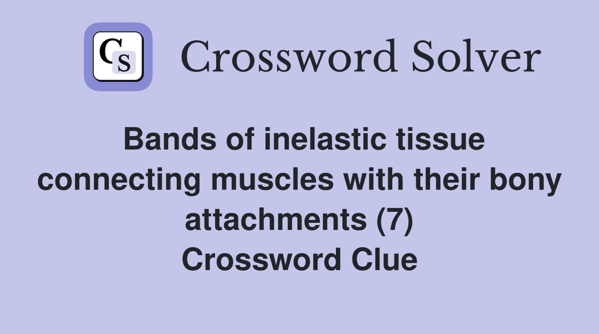 Bands of inelastic tissue connecting muscles with their bony attachments (7) Crossword Clue