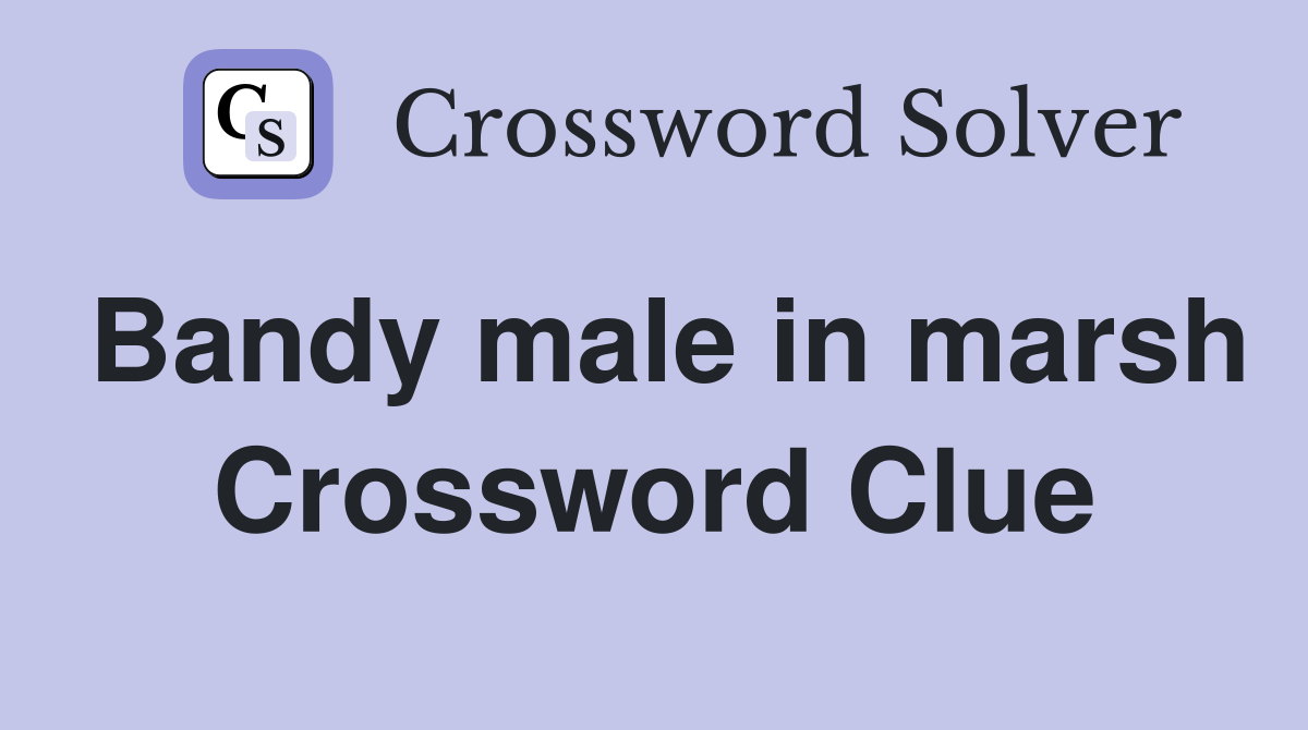 Bandy male in marsh Crossword Clue