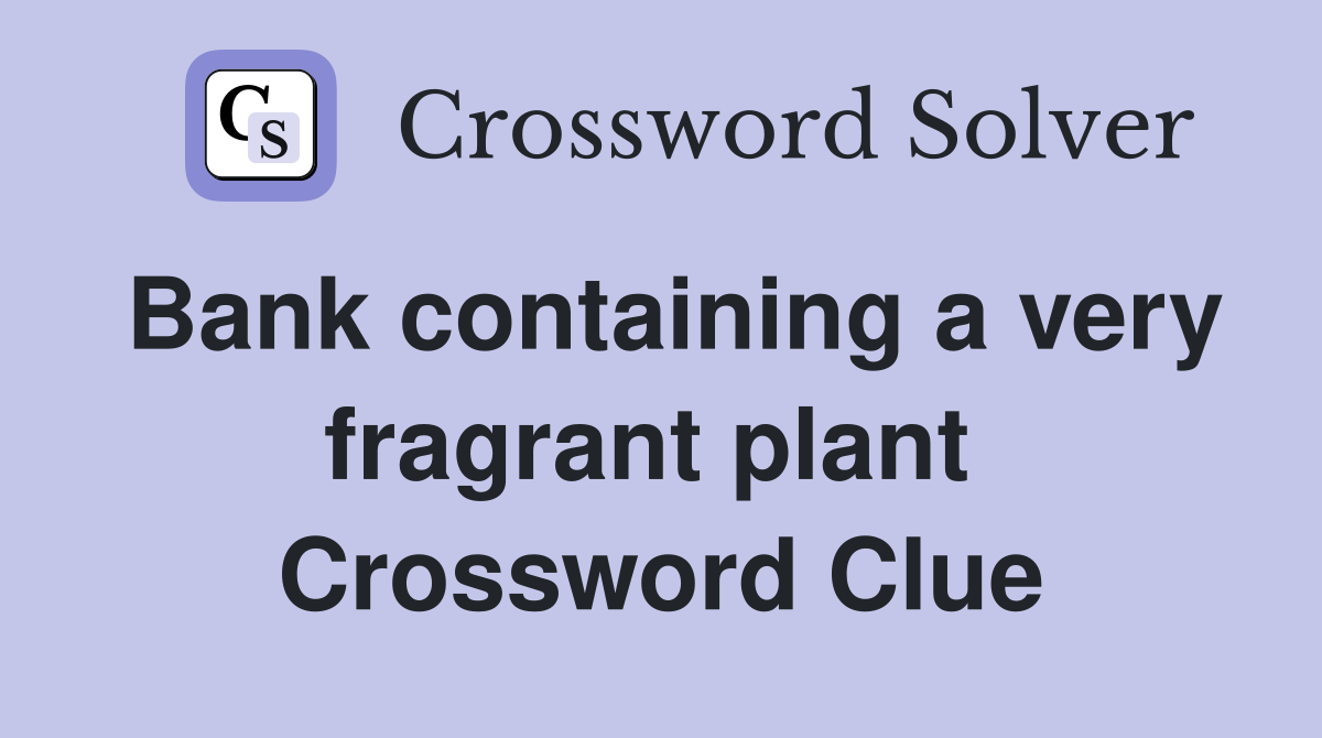 Bank containing a very fragrant plant  Crossword Clue