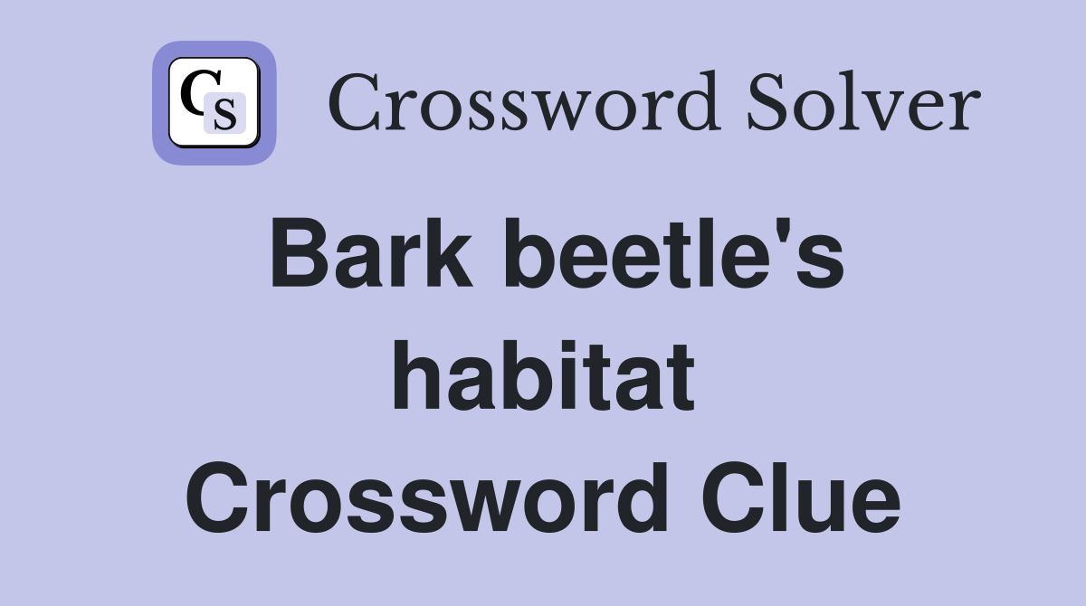 Bark beetle's habitat Crossword Clue
