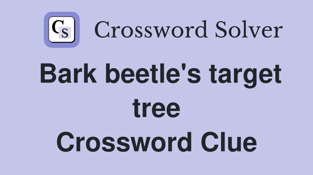 Bark beetle's target tree Crossword Clue