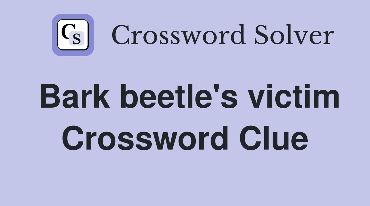 Bark beetle's victim Crossword Clue