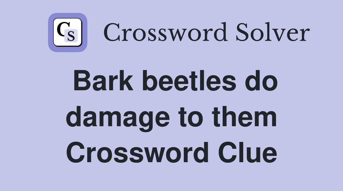 Bark beetles do damage to them Crossword Clue