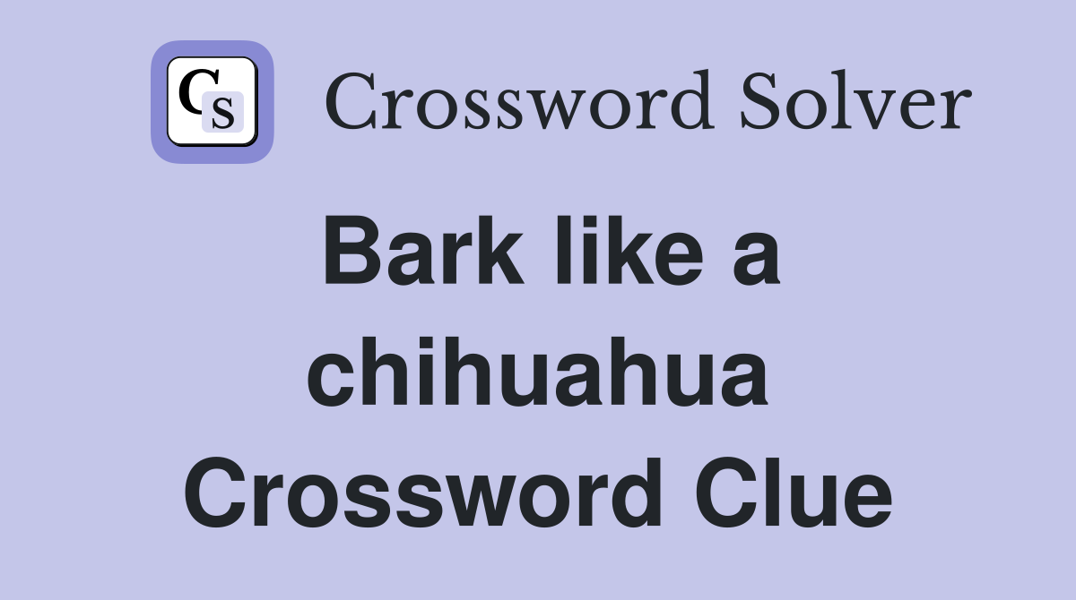 Bark like a chihuahua Crossword Clue