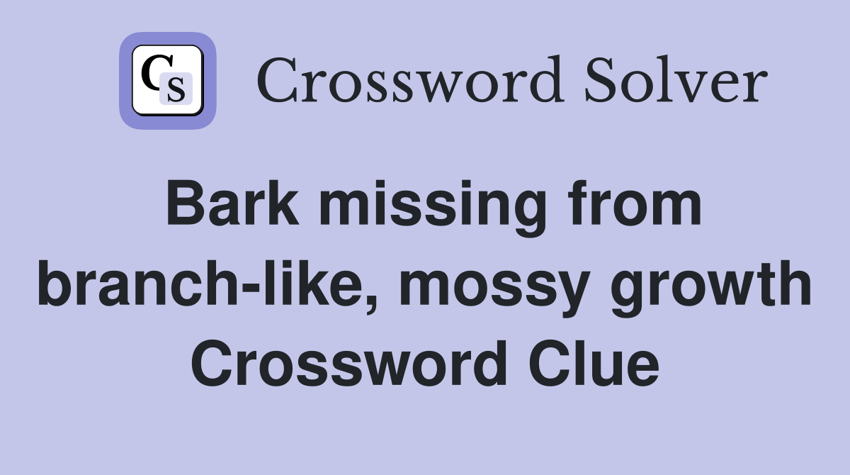 Bark missing from branch-like, mossy growth Crossword Clue