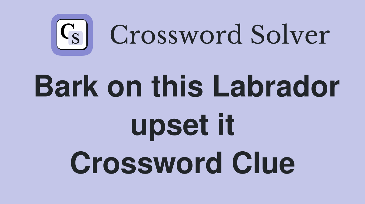 Bark on this Labrador upset it Crossword Clue