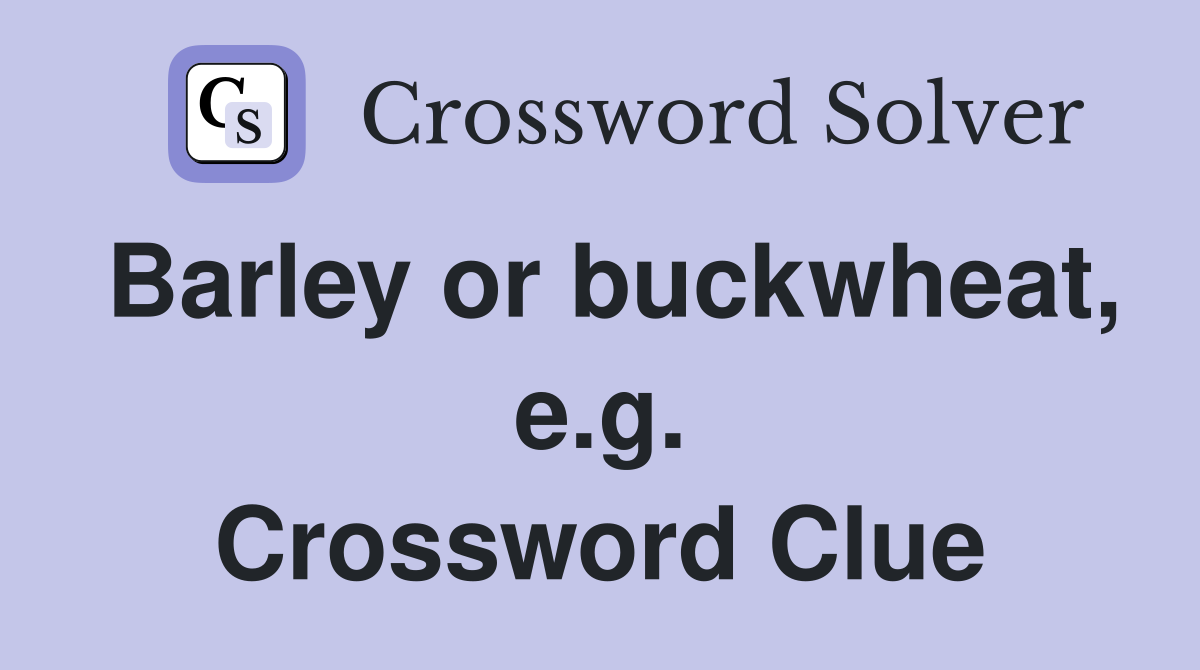 Barley or buckwheat, e.g. Crossword Clue