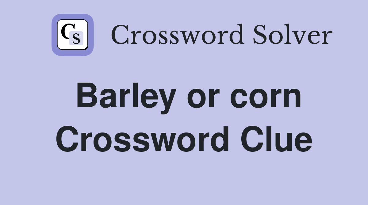 Barley or corn Crossword Clue