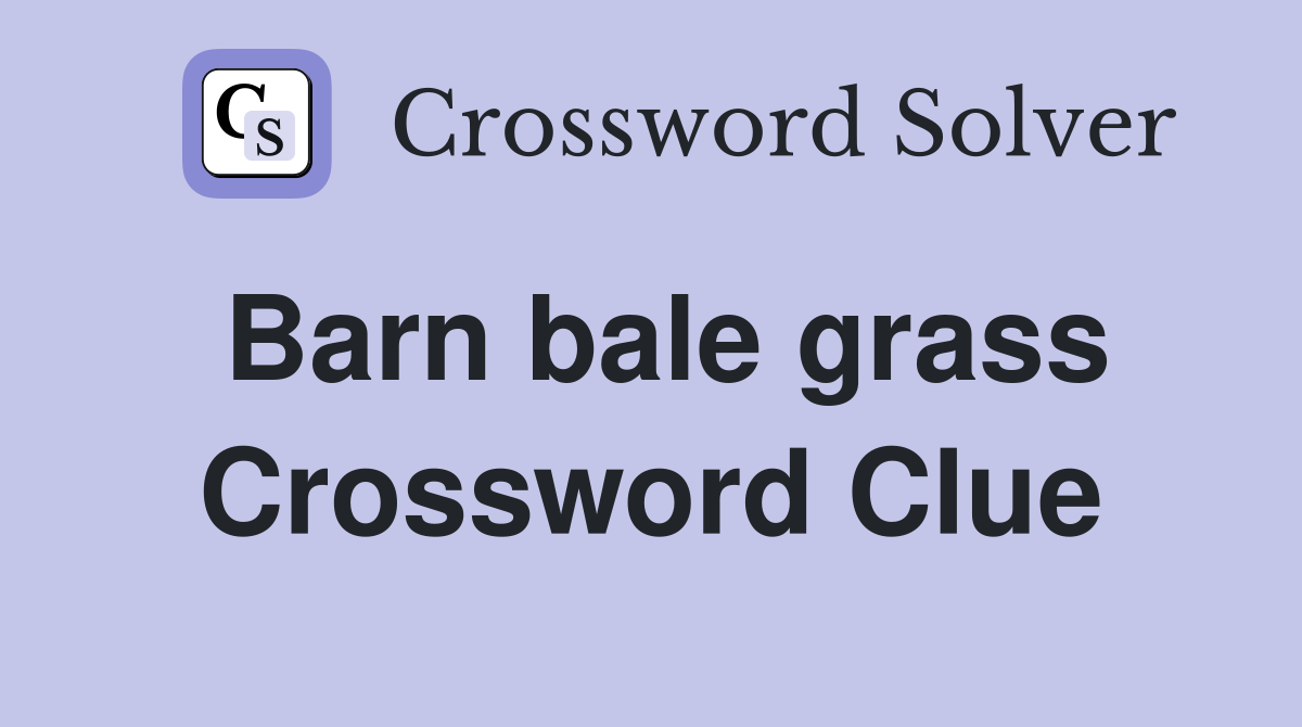 Barn bale grass Crossword Clue