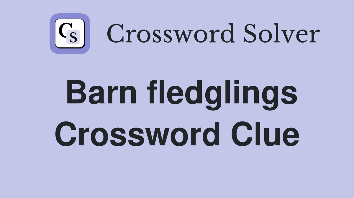 Barn fledglings Crossword Clue