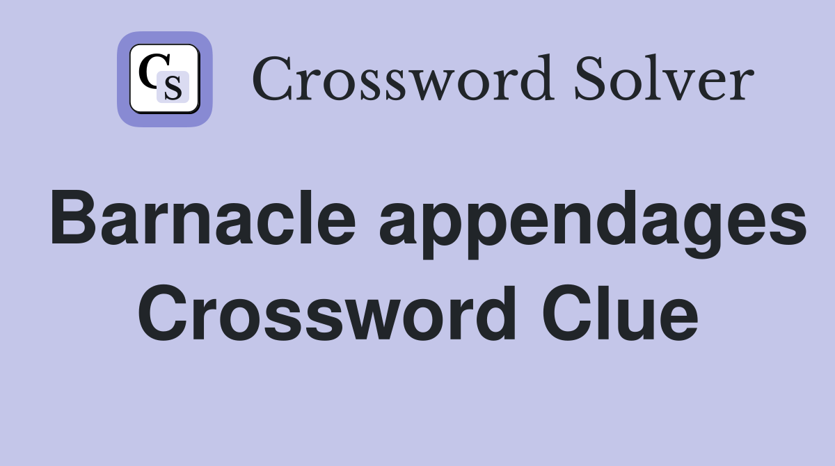 Barnacle appendages Crossword Clue