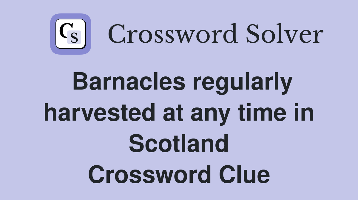 Barnacles regularly harvested at any time in Scotland Crossword Clue