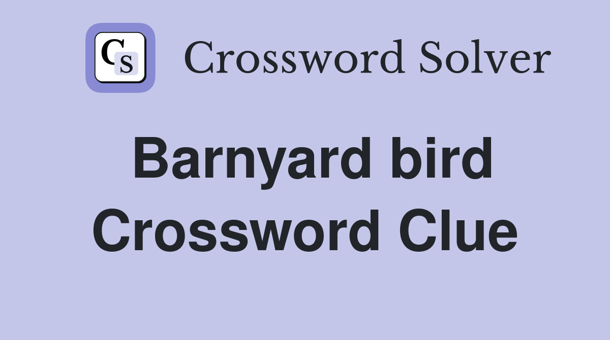 Barnyard bird Crossword Clue