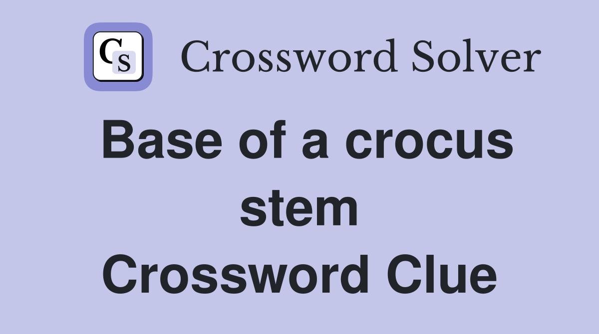 Base of a crocus stem Crossword Clue