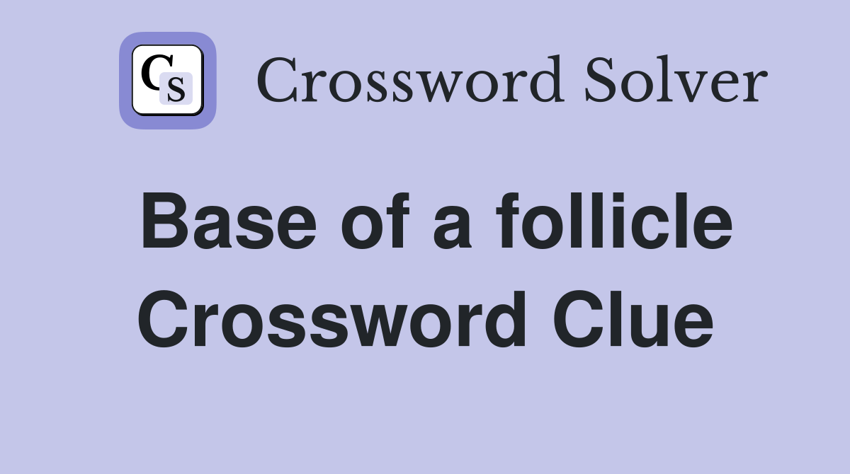 Base of a follicle Crossword Clue