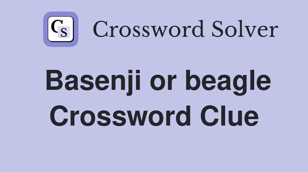 Basenji or beagle Crossword Clue