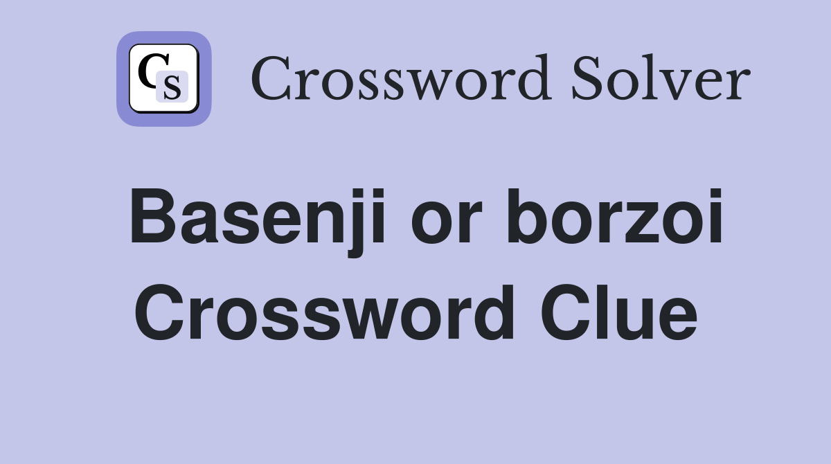 Basenji or borzoi Crossword Clue