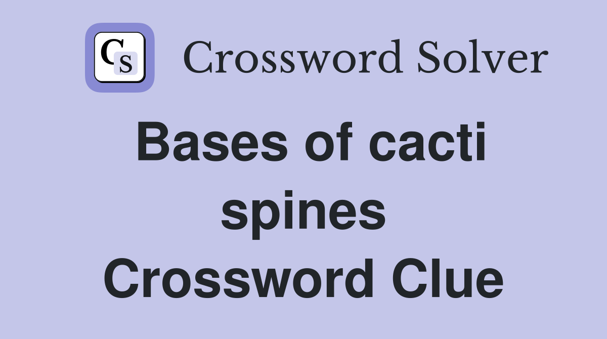 Bases of cacti spines Crossword Clue
