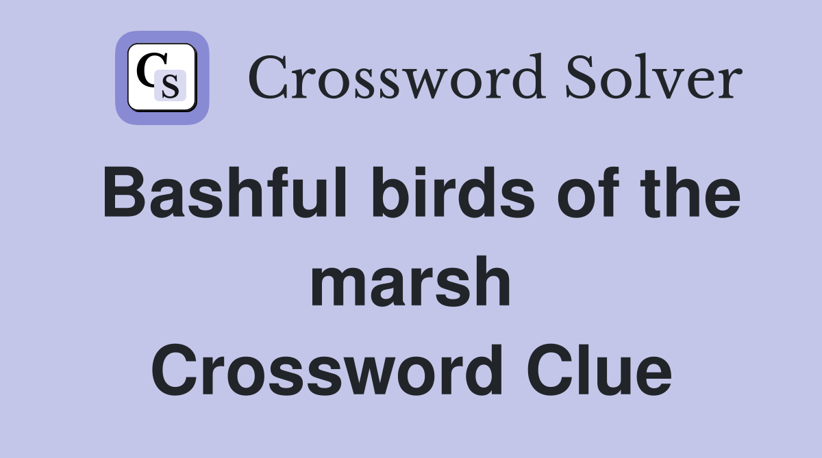 Bashful birds of the marsh Crossword Clue