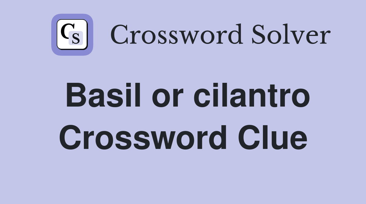 Basil or cilantro Crossword Clue