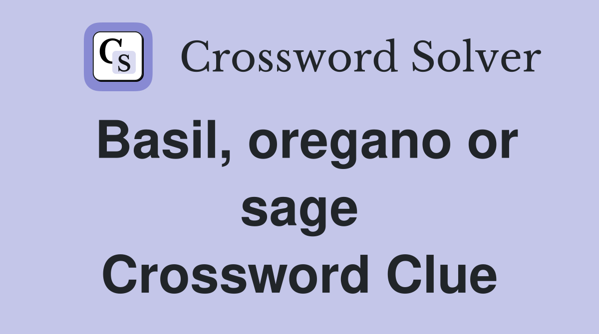 Basil, oregano or sage Crossword Clue
