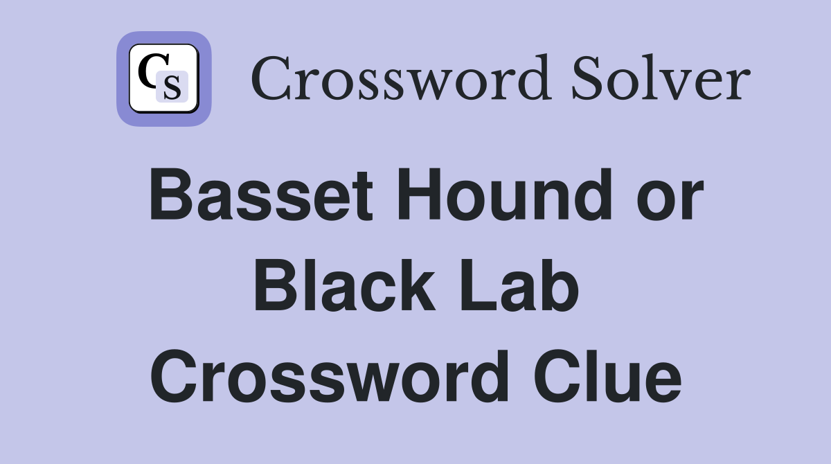 Basset Hound or Black Lab Crossword Clue