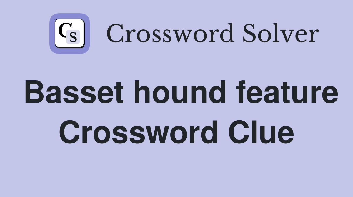 Basset hound feature Crossword Clue