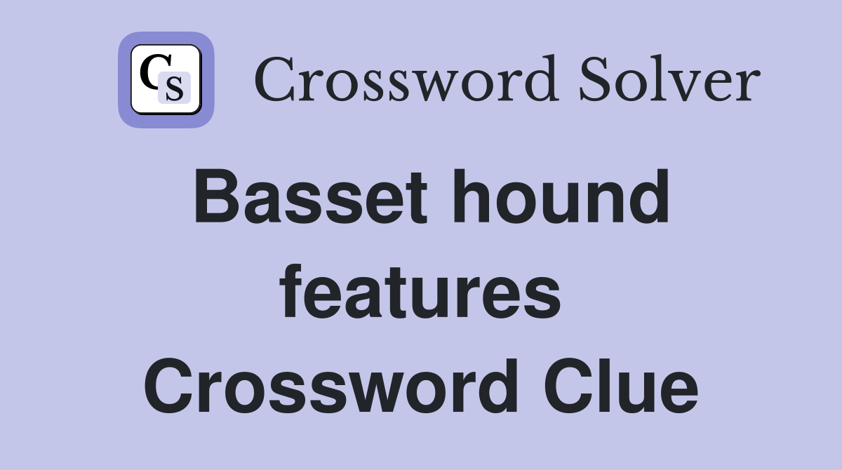 Basset hound features Crossword Clue