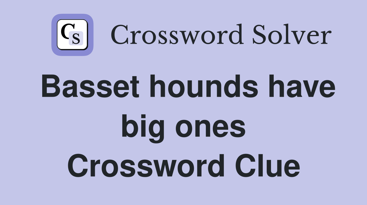 Basset hounds have big ones Crossword Clue