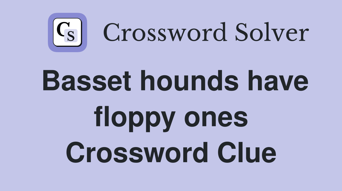 Basset hounds have floppy ones Crossword Clue
