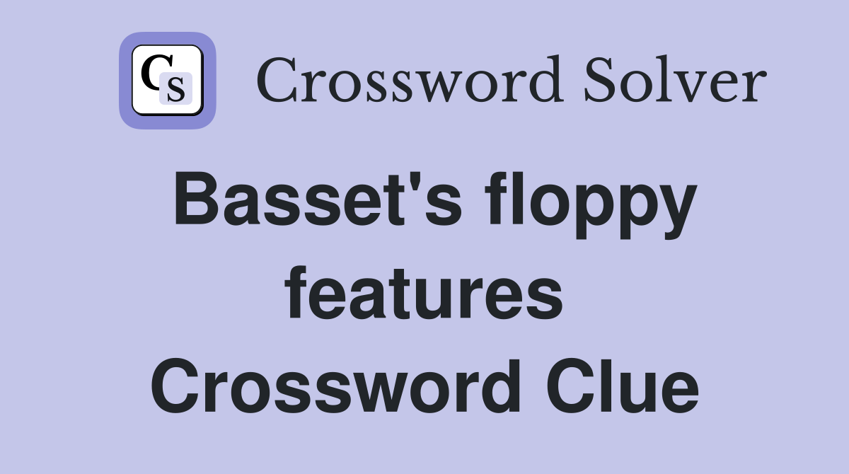 Basset's floppy features Crossword Clue