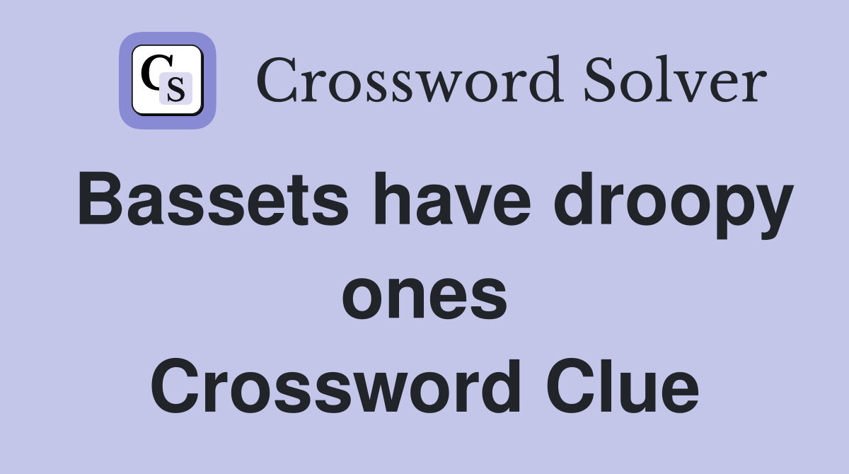 Bassets have droopy ones Crossword Clue