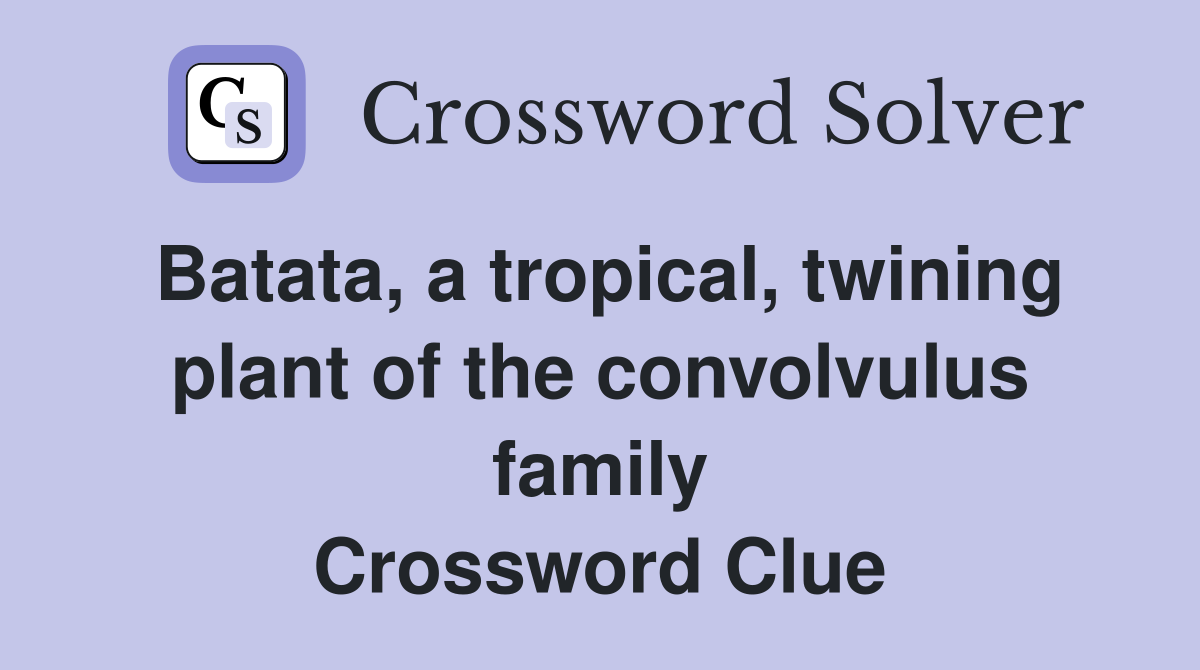 Batata, a tropical, twining plant of the convolvulus family Crossword Clue
