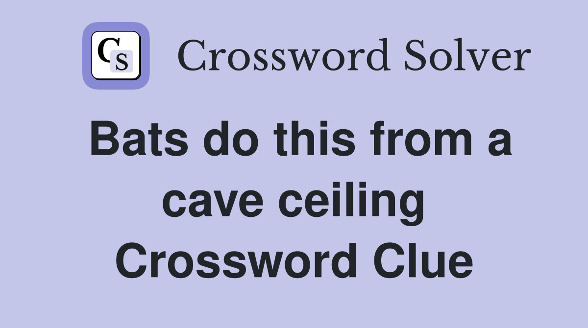 Bats do this from a cave ceiling Crossword Clue