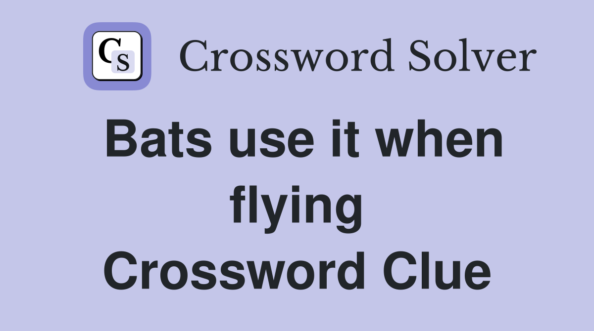 Bats use it when flying Crossword Clue