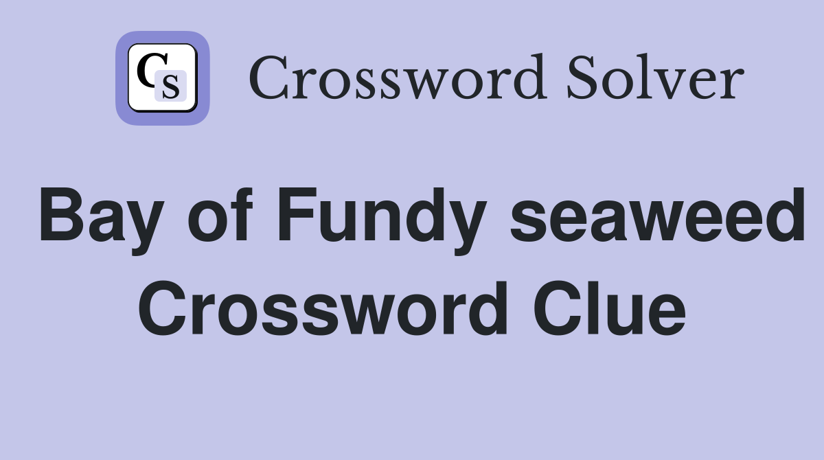 Bay of Fundy seaweed Crossword Clue