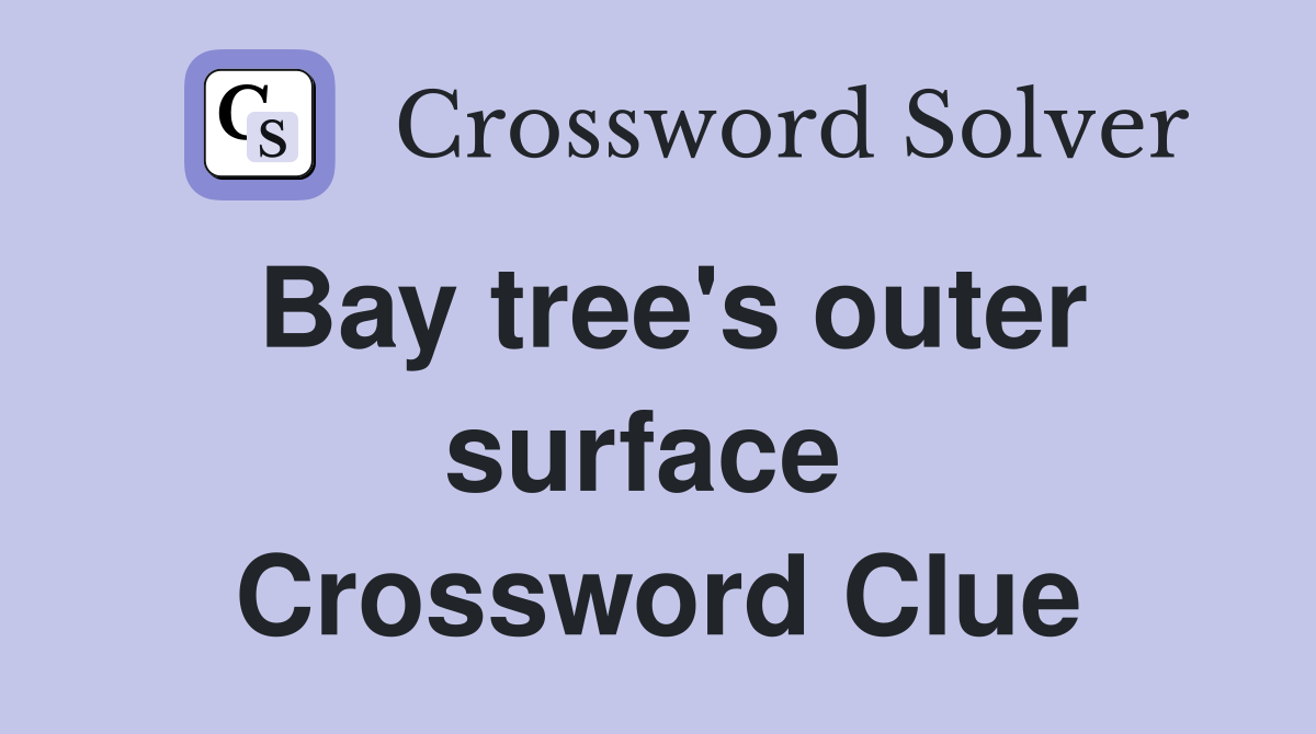 Bay tree's outer surface  Crossword Clue