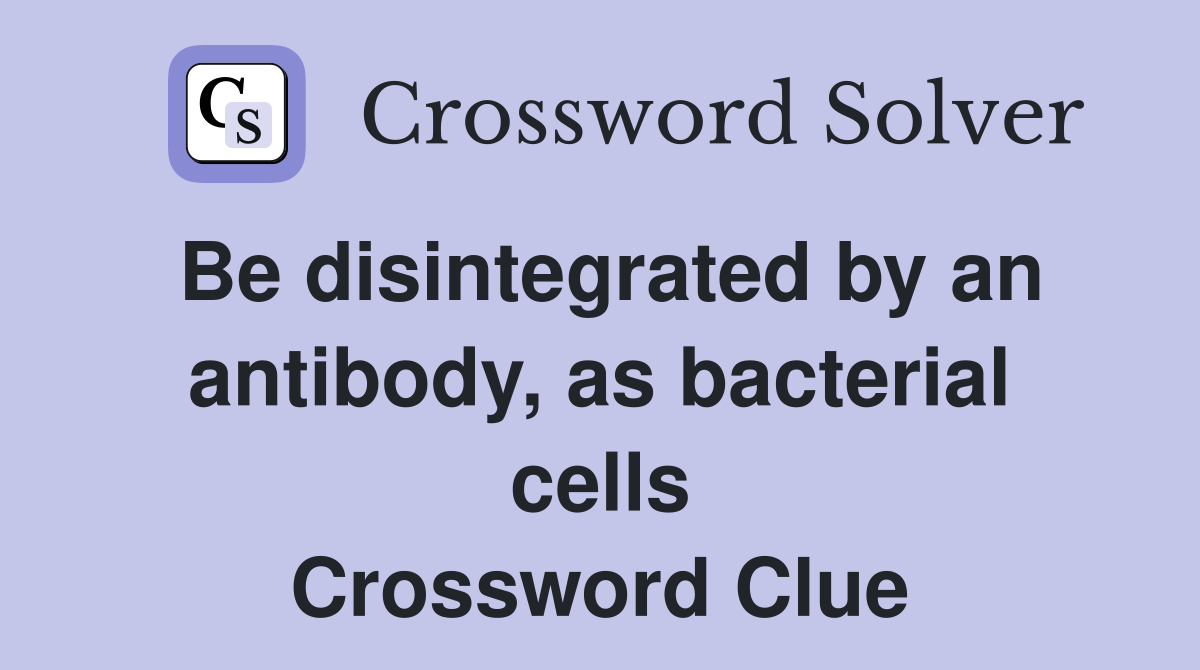 Be disintegrated by an antibody, as bacterial cells Crossword Clue