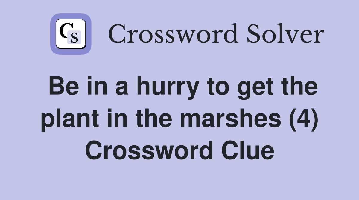Be in a hurry to get the plant in the marshes (4) Crossword Clue
