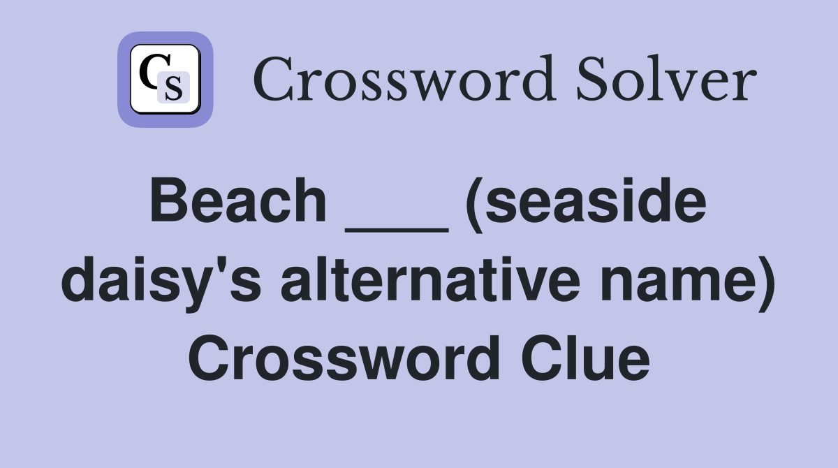 Beach ___ (seaside daisy's alternative name) Crossword Clue