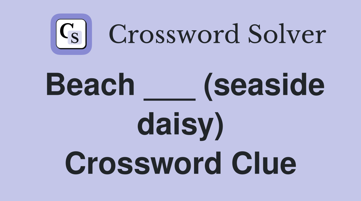 Beach ___ (seaside daisy) Crossword Clue
