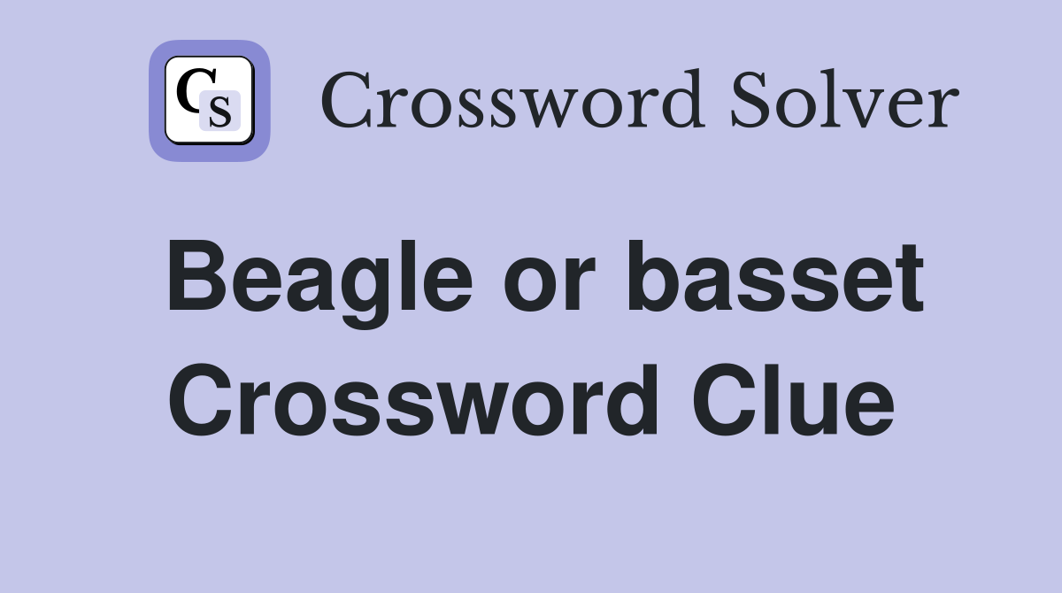 Beagle or basset Crossword Clue