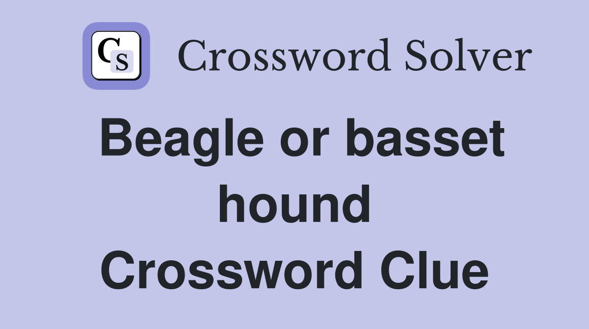 Beagle or basset hound Crossword Clue