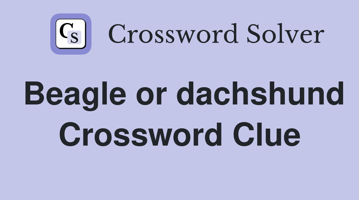 Beagle or dachshund Crossword Clue